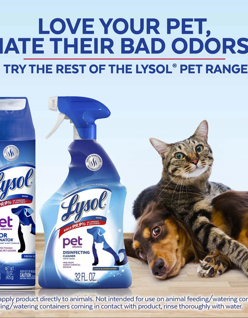 Load image into Gallery viewer, ® Pet Odor Eliminator Spray, Sanitizing and Disinfecting Spray for Pet Odors, 15Oz
