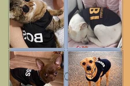 4 Packs Dog Shirts for Small Dog,  Pet T-Shirts Clothes Vest for Puppy Boy Girl S