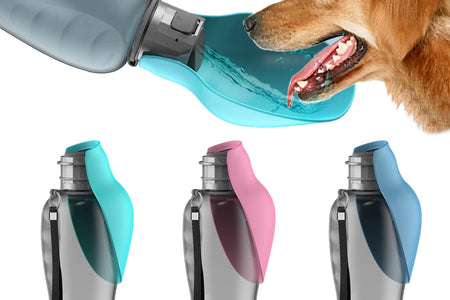 800Ml Portable Dog Water Bottle for Big Dogs Pet Outdoor Travel Hiking Walking Foldable Drinking Bowl Golden Retriever Supplies