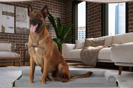 Asher Wooden Pet Bed with Mattress | Large to Extra Large Pet Bed with Mattress | Elevated Pet Bed | Greenguard Gold Certified Wooden Pet Bed